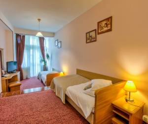 Cameră twin/dublă comfort 3*